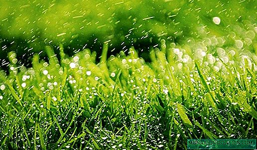Technologie d'entretien des pelouses: un aperçu de 6 procédures de soins aux herbes importantes