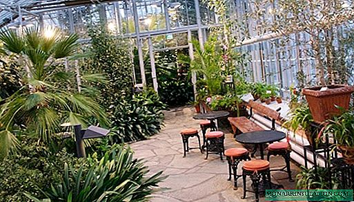 6 tips to help you set up a beautiful home greenhouse