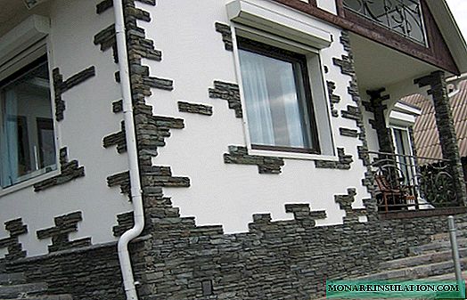 Resumen de los 7 materiales más populares para decorar la fachada de una casa privada