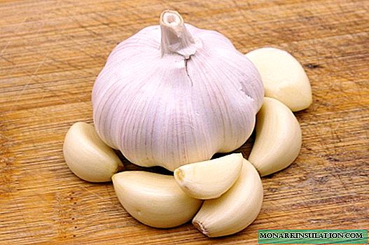 7 proven ways to keep garlic fresh, juicy and fragrant for a long time