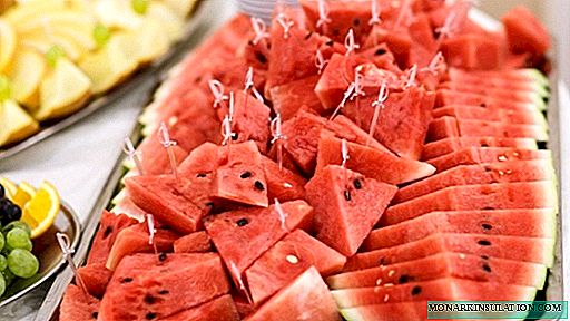 7 ideas for saving watermelon for the New Year