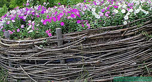 Fences and fences for flower beds: top 9 best design options
