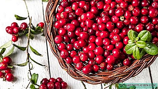 9 simple cranberry ideas for the winter to please your beloved daughter-in-law