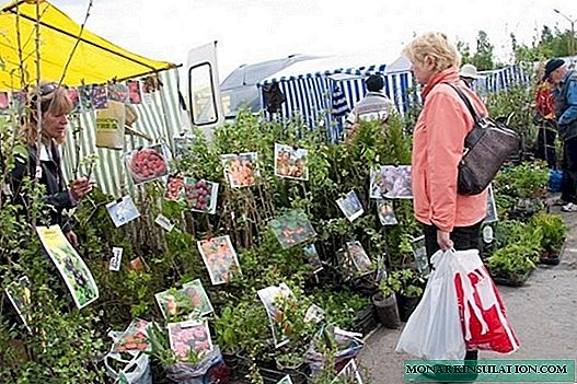 9 måter å spare på å kjøpe hageplanter neste år