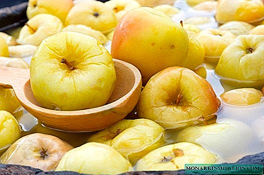 Накиснати ябълки на свекърва: 9 вкусни идеи