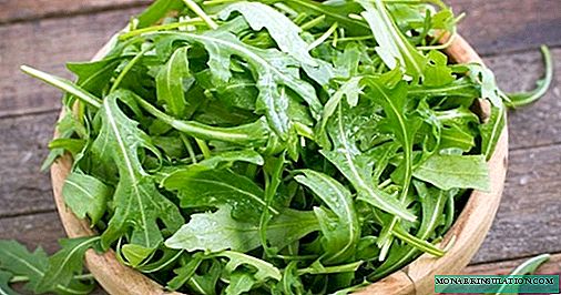 9 salad sayuran terbaik untuk menanam musim depan