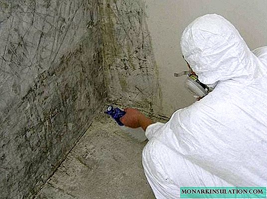 9 tips to help get rid of health hazardous mold in the cellar