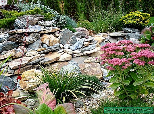 Rock garden: the best schemes of the device and an example of creating with your own hands