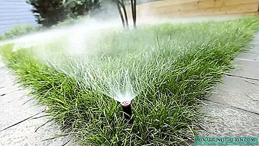 Automatic drip irrigation of the lawn: we bring water to hard-to-reach areas
