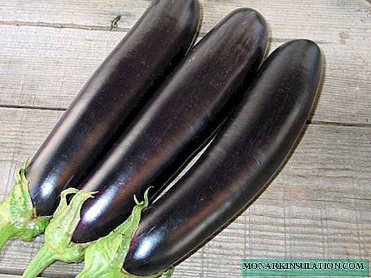 Eggplant Valentine - thin but delicious!