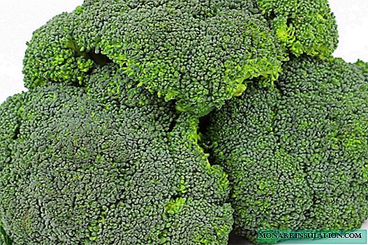 Brócoli: versado en grados