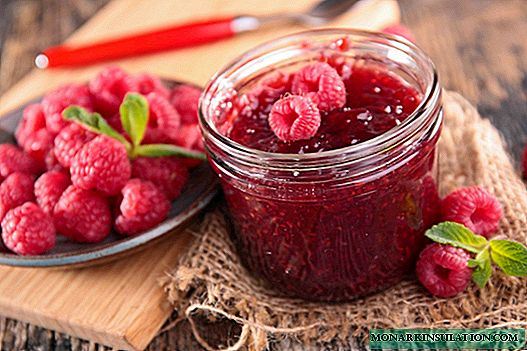 How to feed raspberries in the spring: nitrogen, mineral and organic nutrition
