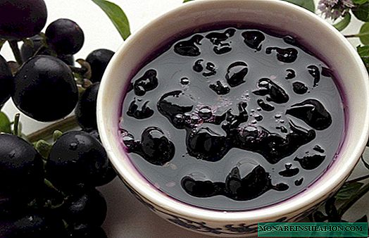 Blueberry forte (Sunberry) - truco publicitario o baya curativa