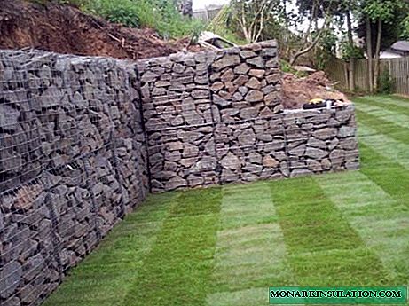 What are gabions and how they can be used in landscape design