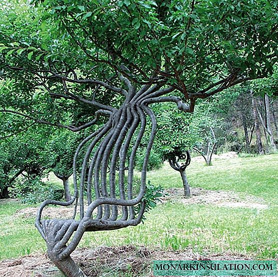 Diseño campestre con exóticos: una técnica para crear esculturas arbo de árboles