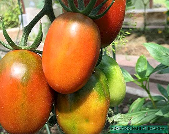 De Barao: hvordan dyrke en rekke populære varianter av sene tomater?