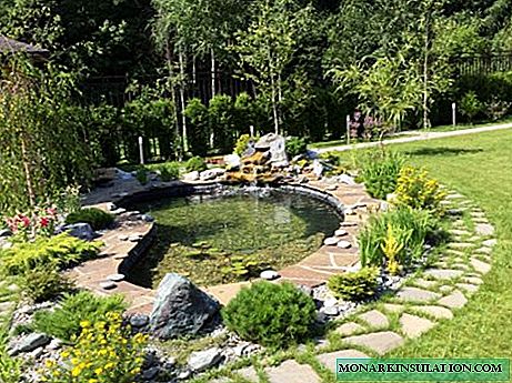 Decorative ponds in landscape design: special attention to style