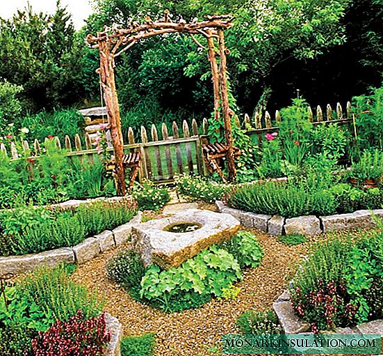 Decoratieve tuin: hoe originaliteit toevoegen aan uw groentebedden?