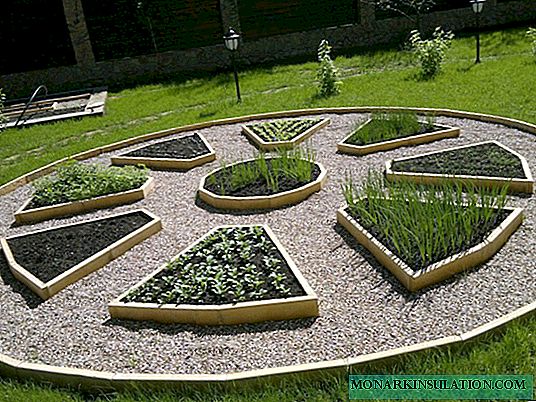Decorative garden: how to create a vegetable flower bed in my country house