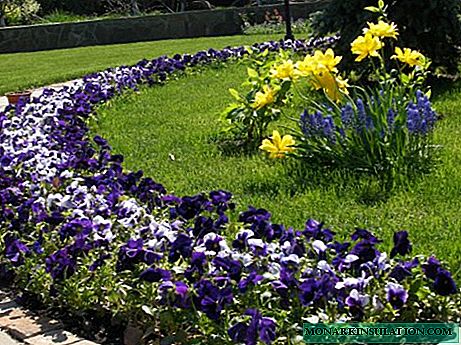 Design of solid flower beds and mono-flowers: how to create a monochrome garden?