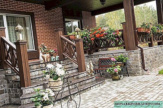 Privačiojo namo verandos dizainas: stilistikos analizė + idėjų pasirinkimas