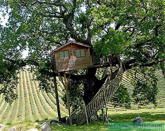 Do-it-yourself treehouse: nuanțe de bază pentru instalare + exemple de aranjare