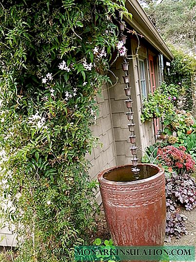 Rain chains as a decorative alternative to gutters