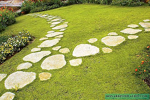 Photos of the best ideas of stone garden paths