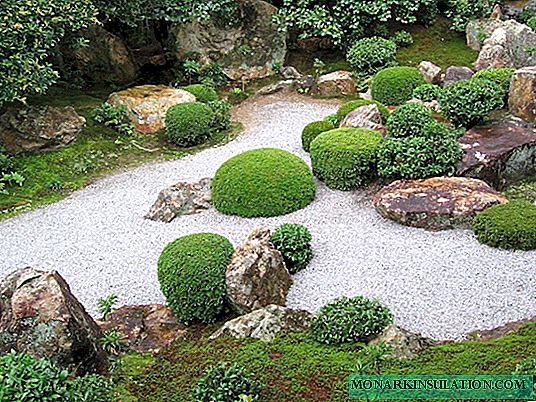 Gravel garden: self-planting and landscaping technology