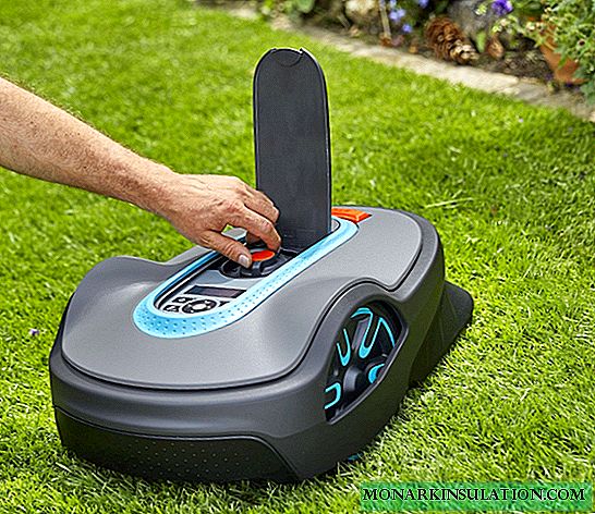 O gramado perfeito com um cortador de grama robótico: mito ou realidade?