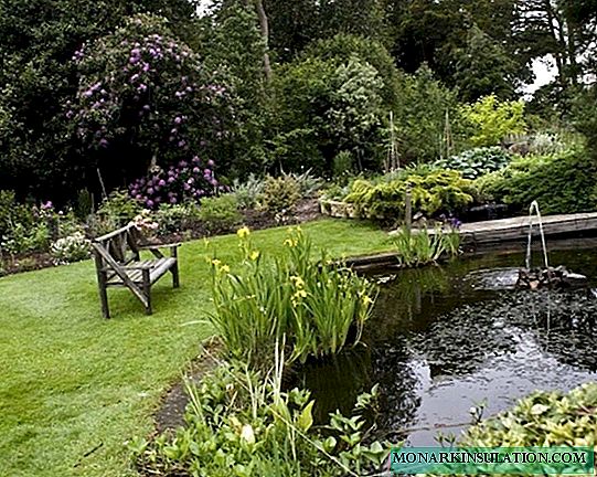 Ideas of the English garden, which can be easily applied at home in the country