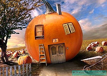 Ideas for decorating a Halloween site + pumpkin workshops