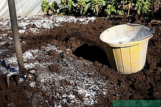 Liming the soil in the garden: why, when and how to do it?