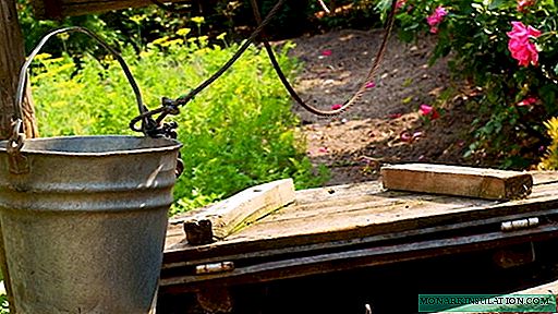 Der einfachste Weg, einen Brunnen zu graben: eine vergleichende Übersicht über die Grabmethoden