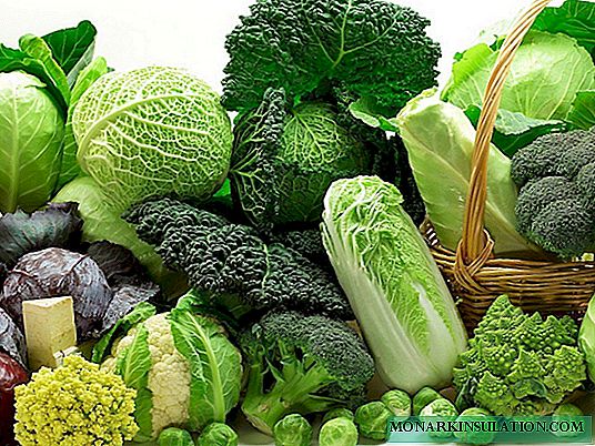 How much cabbage is good and different: all possible types in one article