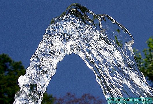 Cum să găsești apă pentru o fântână: analizăm trei moduri eficiente de a căuta