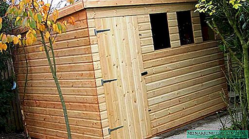 How to build a frame shed: a complete analysis of construction technology from A to Z