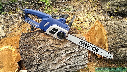Como cortar uma árvore com uma serra elétrica: regras de segurança ao derrubar árvores