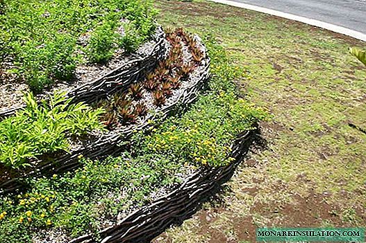 How to break a flower garden on a slope: arranging an inclined flower meadow
