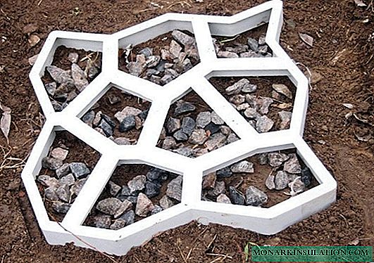 How to make a mold for filling garden paths yourself