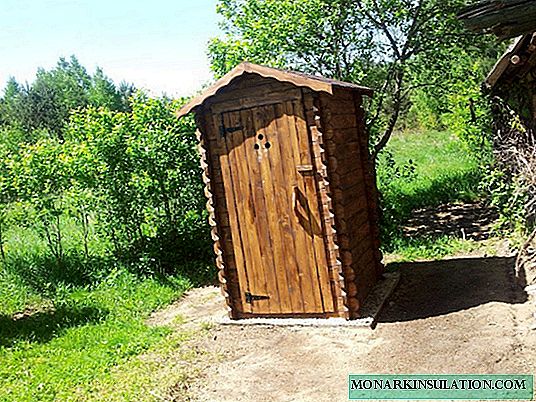How to make a wooden toilet in the country: building codes + device example