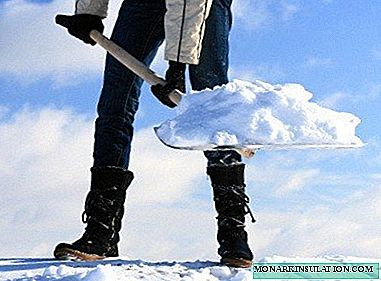 Cara Membuat Shovel Salju yang Baik: Panduan Produksi