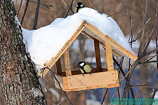 How to make a bird feeder with your own hands: analysis of several best designs
