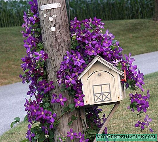 How to make a beautiful mailbox for a private home: first-hand workshops