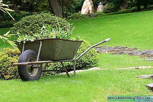 Hoe maak je een kruiwagen in de tuin met je eigen handen: decoratieve en praktische opties