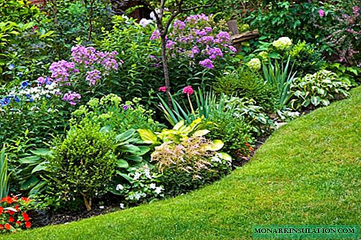 Como criar um canteiro de flores com flores contínuas: um jardim para todas as estações em esquemas e exemplos