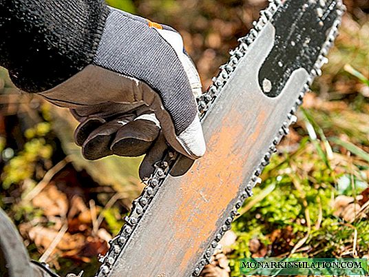 How to choose a chain saw: recommendations and advice from professionals