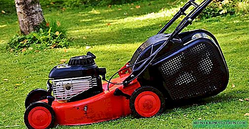 How to choose a lawn mower: compare electric and gasoline models