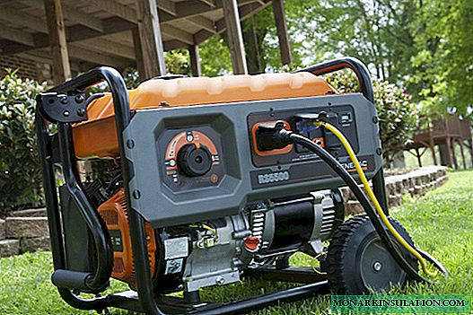 How to choose a generator for a summer residence: gasoline vs diesel