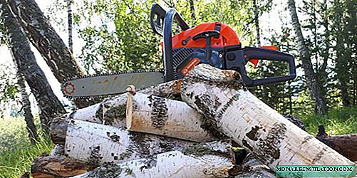 How to choose a good chainsaw for gardening: advice from competent experts